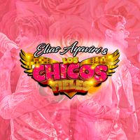 sonido original - Los Chicos Fieles