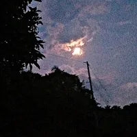 original sound - lisaisidro_