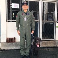 spiderman_k9