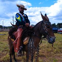 ct_rancho_mula_xucra