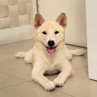 original sound - boltsdiary