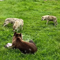 не для работы создан я