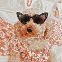 juliasmiami