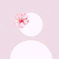 ana_paix