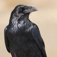 original sound - hijadehekate