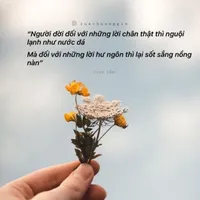 original sound - tphong_mbtiktok