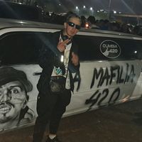 ovnilv31artista