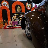 mister_volks