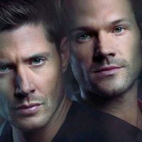des_winchester