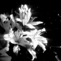 original sound - yvescenic