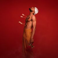 Ley kartel ILS SONT OÙ