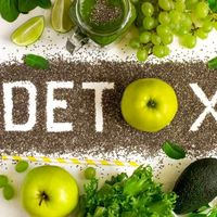 28detox