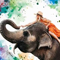 silkelephant44