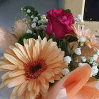 bronlineshopping1