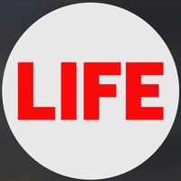 life_news_7