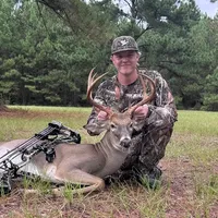 original sound - _michaelroach_