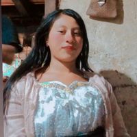 tipaz663