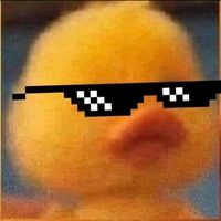 avaaaaaa.sdecnicadjj