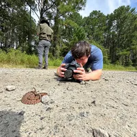 original sound - natural_selections_