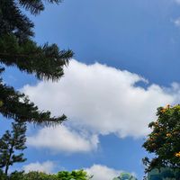 suara asli - namasaya