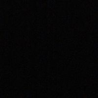 professionalmusicman