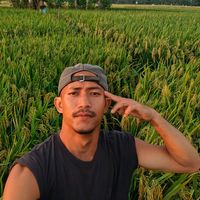 kodoksawah93.02