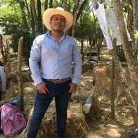 original sound - ervin.2619