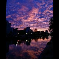 sunet original