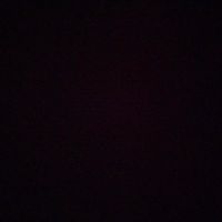 user710079031