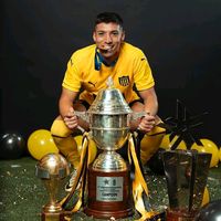 mirfoalvez