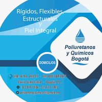 jaquelinearagonotavo