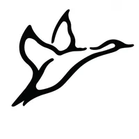 original sound - combatwaterfowl