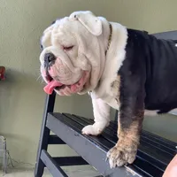 U BETTR Gimme SOME SNACKS Before I Beat Yo AZZ