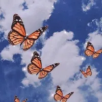 original sound - _..x.2_