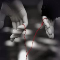 conexiones_