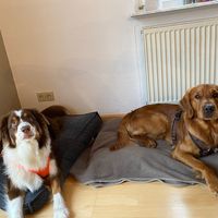 theaussieruby
