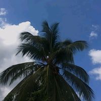 cuentadesconocida539