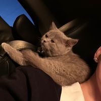 original sound - E R A