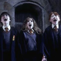 fan.de.harry.pott864