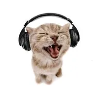 original sound - pr3tzst4rz