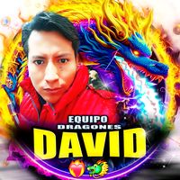 canaviri_salguero1
