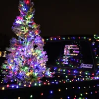 original sound - cconrad_19