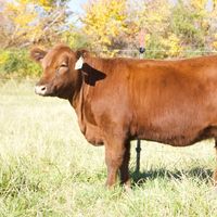 circle_e_ranch_mn