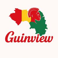 guinview