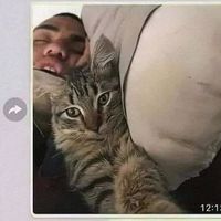 nilseralarcongil243