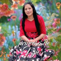 yesiprincesahijadelrey_4