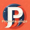 pingoofficial1