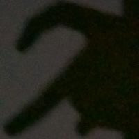 26..12.2021