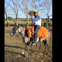 pablotrancasetraias029