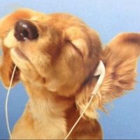 original sound
